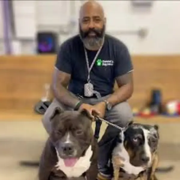 Donnell’s Dog House Salon And Resort